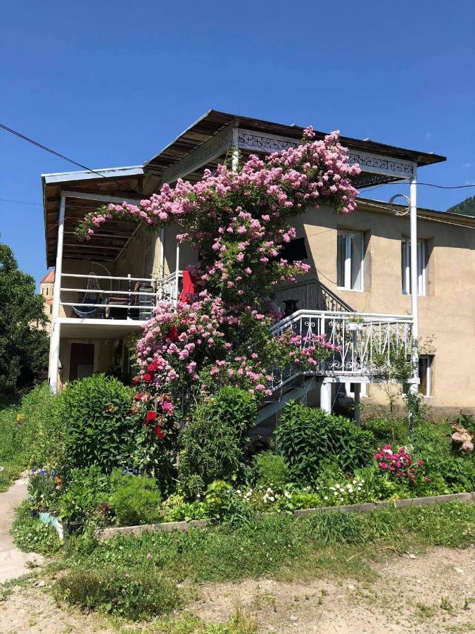 מסטיה Guesthouse Am Museum מראה חיצוני תמונה